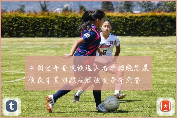 中国金手套奖候选人名单揭晓陈晨侯森李昊刘殿座颜骏凌争夺荣誉